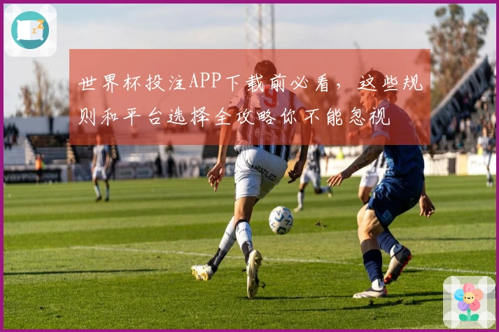 世界杯投注APP下载前必看,这些规则和平台选择全攻略你不能忽视