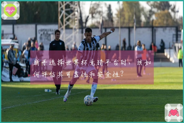 新手选择世界杯竞猜平台时,该如何评估其可靠性和安全性?